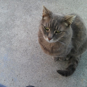 Meet your Posher, Theresa